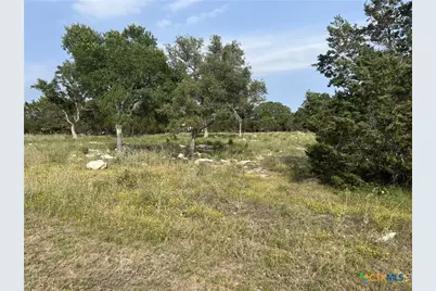 133 Macaw Lane, Spring Branch, TX 78070 - Photo 6