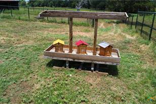 174 Wilson Rd, Elgin, TX 78621 - Photo 12