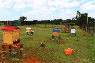 174 Wilson Rd, Elgin, TX 78621 - Photo 10