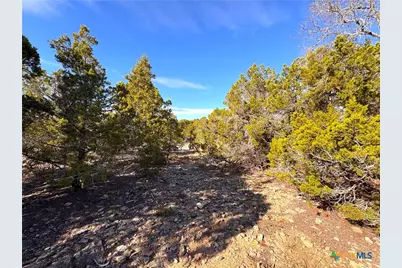 1001 Oblate Drive, Canyon Lake, TX 78133 - Photo 10