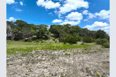 329 Arthur Court, Spring Branch, TX 78070 - Photo 2