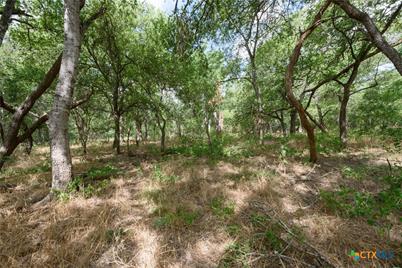 Tbd Santa Clara Road, Seguin, TX 78155 - Photo 10