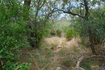 Tbd Santa Clara Road, Seguin, TX 78155 - Photo 12