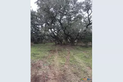 8205 Wegner Road, New Braunfels, TX 78132 - Photo 14