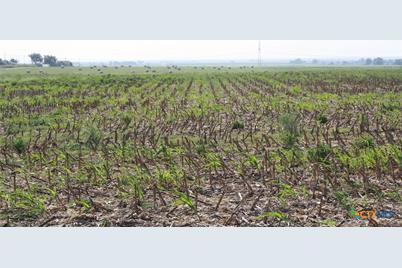 Tbd Gooseneck Road #3, Bartlett, TX 76511 - Photo 8