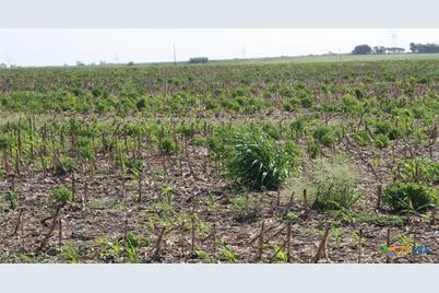 Tbd Gooseneck Road #5, Bartlett, TX 76511 - Photo 6