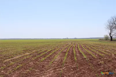 Tbd County Road 301, Marlin, TX 76661 - Photo 4