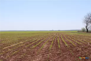 Tbd County Road 301, Marlin, TX 76661 - Photo 4