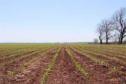 Tbd County Road 301, Marlin, TX 76661 - Photo 2