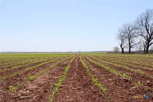 Tbd County Road 301, Marlin, TX 76661 - Photo 2