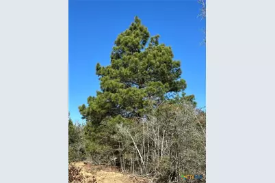 Tbd Sandy Fork Road, Harwood, TX 78632 - Photo 28