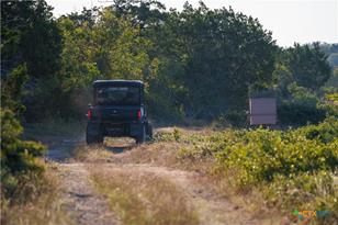 582 Delaware Creek Rd, Blanco, TX 78606 - Photo 38