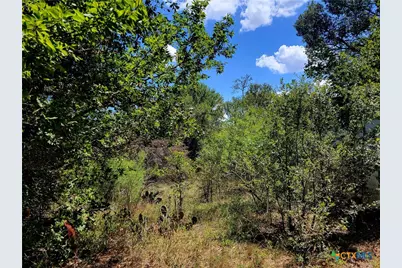 Tbd Dale Lane, Dale, TX 78616 - Photo 4