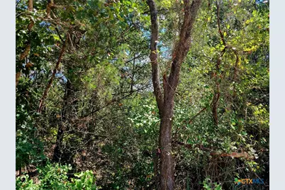 Tbd Dale Lane, Dale, TX 78616 - Photo 6