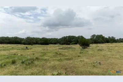 Lot 106 N Waterbuck Way, Lampasas, TX 76550 - Photo 8