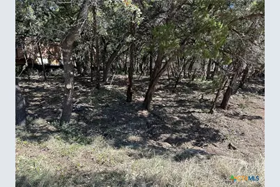 672 Burr Oak Lane, Canyon Lake, TX 78133 - Photo 4