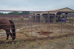 4950 Co Rd 110, Burnet, TX 78611 - Photo 28