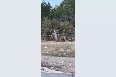 4950 County Road 110, Burnet, TX 78611 - Photo 26