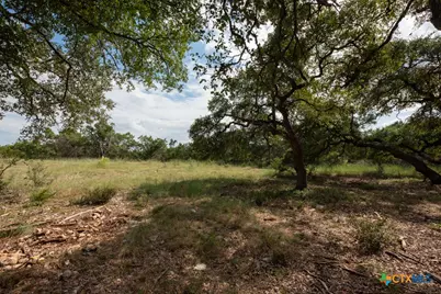 865 Rutherford, Fischer, TX 78623 - Photo 8