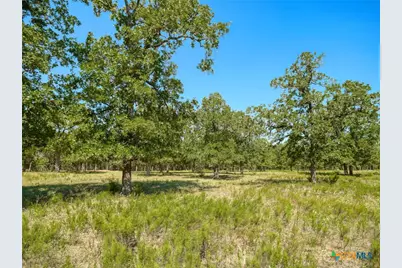 294 Lois Lane, Paige, TX 78659 - Photo 34
