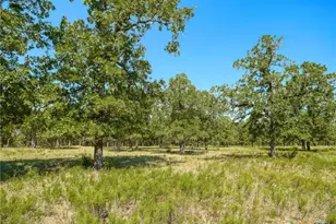 294 Lois Ln, Paige, TX 78659 - Photo 34