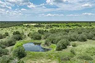 1345 Davis Rd, Flatonia, TX 78949 - Photo 1