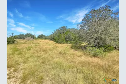 1345 Davis Road, Flatonia, TX 78949 - Photo 18