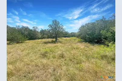 1345 Davis Road, Flatonia, TX 78949 - Photo 14