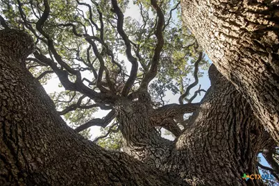 2209 Mockingbird Lane, Temple, TX 76502 - Photo 44