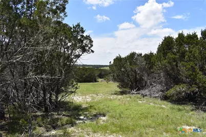 122 Reserve Way, Lampasas, TX 76550 - Photo 2
