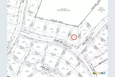 9882 Kolleru Trail, Belton, TX 76513 - Photo 4