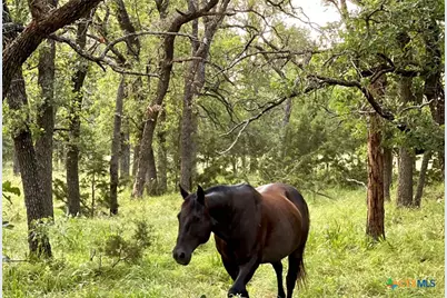 730 E Hwy 84, Goldthwaite, TX 76844 - Photo 22