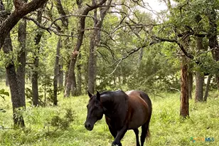 730 E Hwy 84, Goldthwaite, TX 76844 - Photo 22