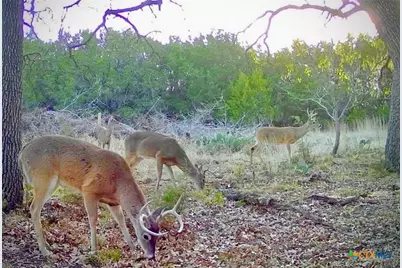 730 E US Hwy 84, Goldthwaite, TX 76844 - Photo 28
