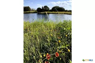 730 E Hwy 84, Goldthwaite, TX 76844 - Photo 26