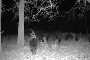 730 E US Hwy 84, Goldthwaite, TX 76844 - Photo 30