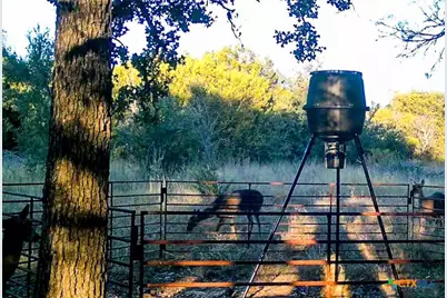 730 E Hwy 84, Goldthwaite, TX 76844 - Photo 28