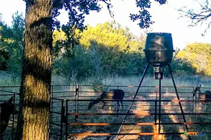 730 E Hwy 84, Goldthwaite, TX 76844 - Photo 28