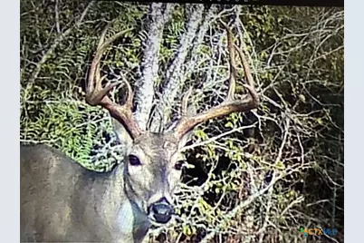 13004 Fm 3353, Kingsbury, TX 78638 - Photo 16