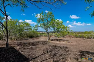 13004 Fm 3353, Kingsbury, TX 78638 - Photo 8