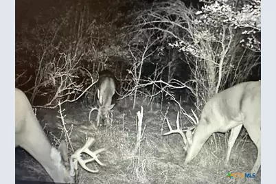 13004 Fm 3353, Kingsbury, TX 78638 - Photo 2