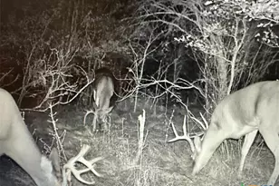 13004 Fm 3353, Kingsbury, TX 78638 - Photo 2