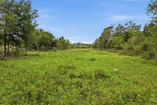 Tbd Fm 530, Hallettsville, TX 77964 - Photo 14