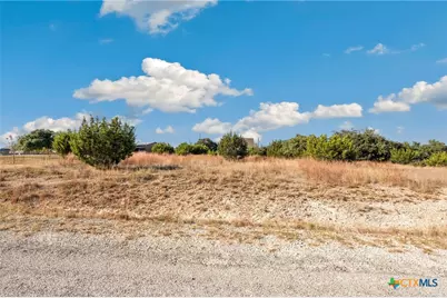 115 Jacob Dearing, Blanco, TX 78606 - Photo 6