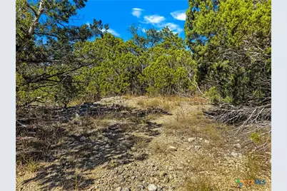 2900 Rocky Ridge Loop, Canyon Lake, TX 78133 - Photo 8