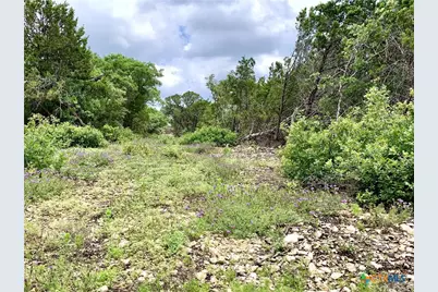Lot 7 Sawtooth Drive, Bertram, TX 78605 - Photo 6
