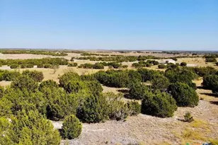 0 Shin Oak Dr, Lampasas, TX 76550 - Photo 8