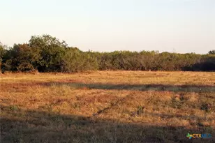 11445 Fm 1854, Dale, TX 78616 - Photo 4