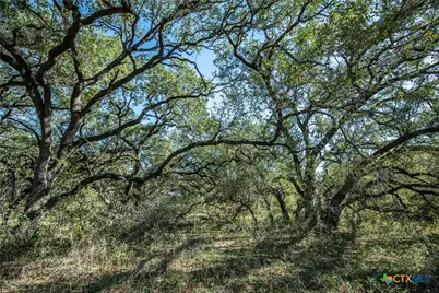 21123 Lamm Road, Elmendorf, TX 78112 - Photo 32