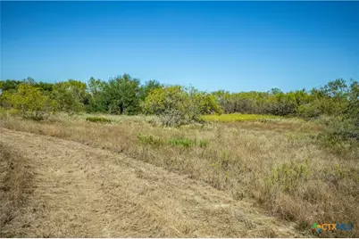 21123 Lamm Road, Elmendorf, TX 78112 - Photo 44